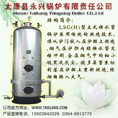 供应立式燃煤蒸汽锅炉