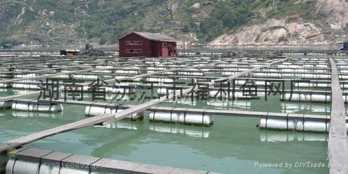 供应鱼网和养殖网箱