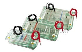 电泳系列仪器/长春博盛量子科技