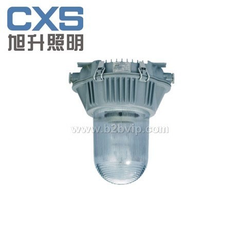 CNFC9180防眩泛光灯，电厂灯，道路应急灯