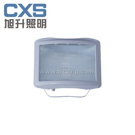 CNSC9720防眩通路灯，防眩应急灯，电厂灯