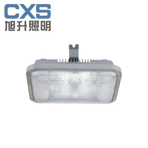 CNFC9175长寿顶灯,无极灯，长寿顶灯