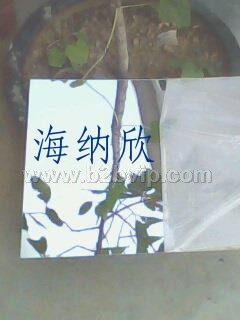 PC半透镜片、PVC半透镜片