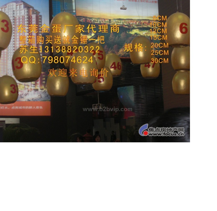 东莞金蛋独家代理商 东莞金蛋价格最低