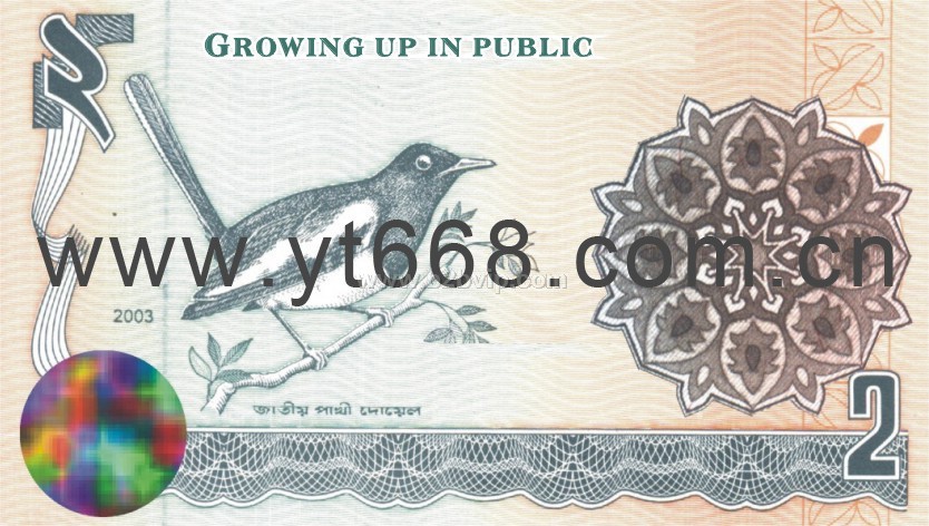 防伪烫印证书，票据单据防伪印刷