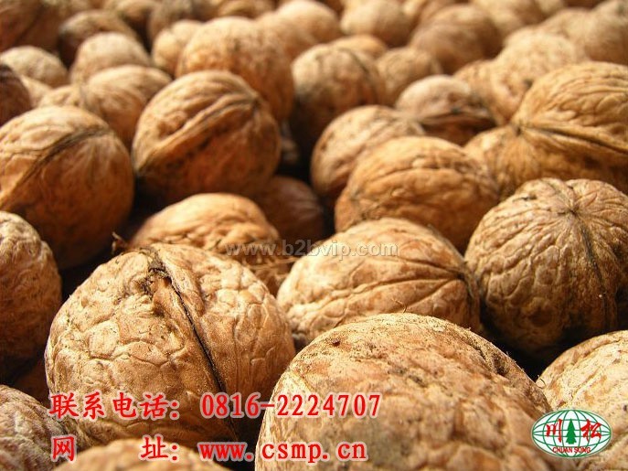 漾濞核桃苗