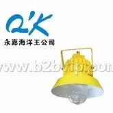 海洋王防爆灯BPC8710防爆平台灯海洋王照明