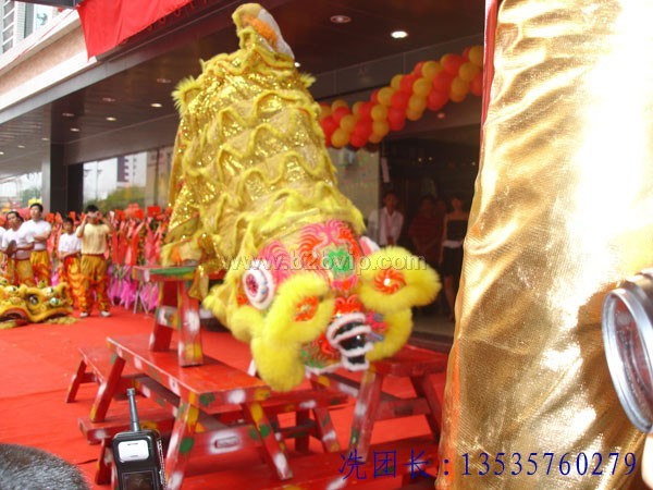 江门舞狮队&nbsp;龙狮团长13535760279