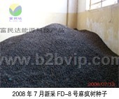 利用FD-8号麻疯树原料果生产生物柴油项目招商