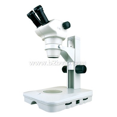 解剖显微镜