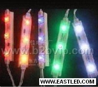 供应食人鱼LED 食人鱼模组 LED模组
