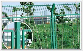 围栏网，市政围栏网，花园围栏网，外墙护栏