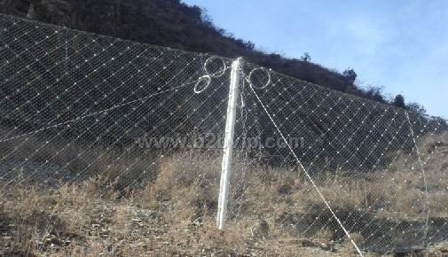 衡水腾跃生产优质SNS被动防护网