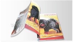 深圳宣传册印刷,深圳市佳顺印刷有限公司