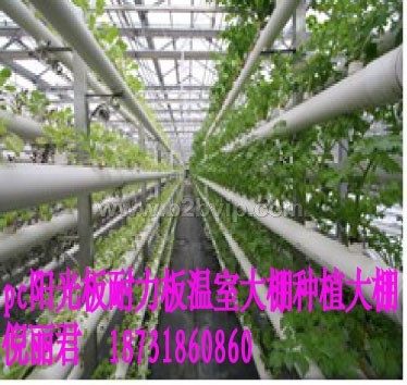 白城阳光板延边阳光板辽源阳光板耐力板价格