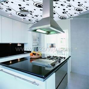 供应不锈钢天花装饰板