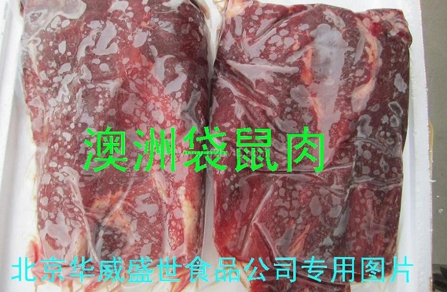 供应袋鼠肉 澳洲袋鼠肉