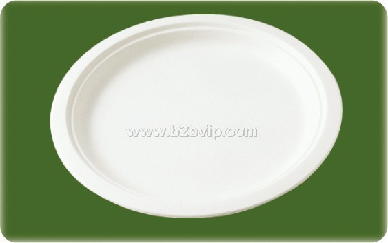 一次性10英寸圆盘