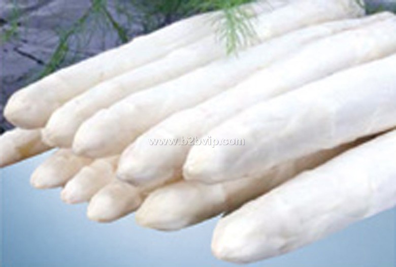 种子｜芦笋种子｜芦笋种子价格