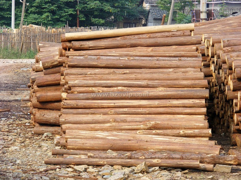 供应沙田木材进口代理  办理熏蒸证