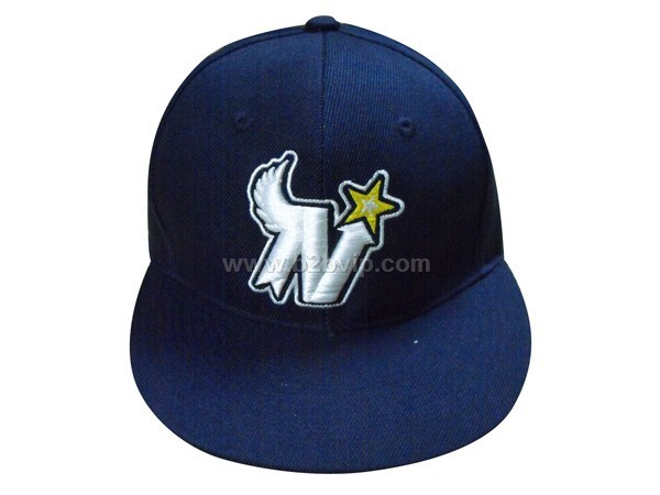 平板帽，运动帽