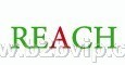 REACH检测