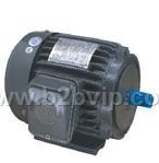 LUCHUANG&nbsp;MOTOR&nbsp;CO.,LTD油泵电机