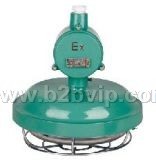 防爆环形荧光灯（dYD系列）