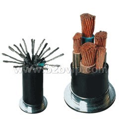 高压橡套电线电缆www.lthyxl.com