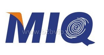 自己出报表-20套正式总部版