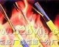 铜芯交联聚乙烯绝缘聚氯乙烯护套耐火控制电缆NHKYJV
