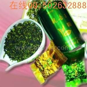 新茶上市&nbsp;清香型&nbsp;浓香型&nbsp;铁观音&nbsp;茶叶