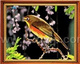 全景奇画www.kkbyx.com
