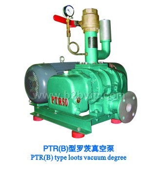 林州九洲风机，PTR(B)型罗茨真空泵