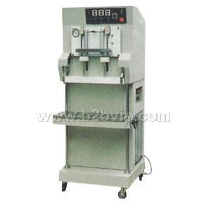 外抽式真空充气包装机