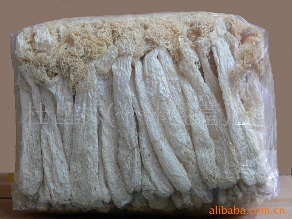 竹荪种,竹荪