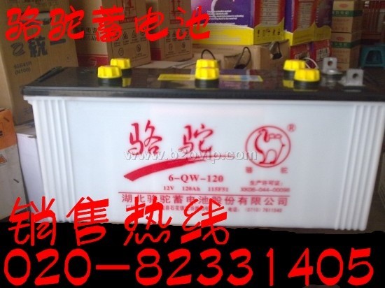 骆驼蓄电池，骆驼牌电池，骆驼电瓶，骆驼电池，骆驼牌蓄电池