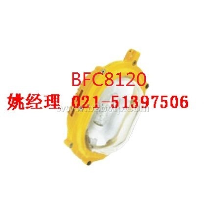 上海BFC8120，BFC8120防爆灯，BFC8120价格，BFC8120厂家
