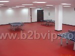 乒乓球PVC运动地板、上海乒乓球塑胶地板