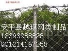 被动防护网
