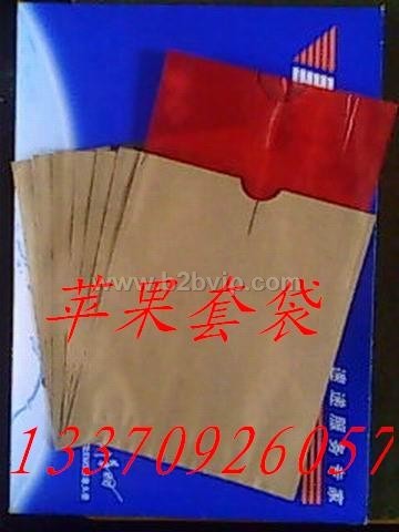 苹果套袋,苹果袋,苹果果袋,出口智利苹果袋