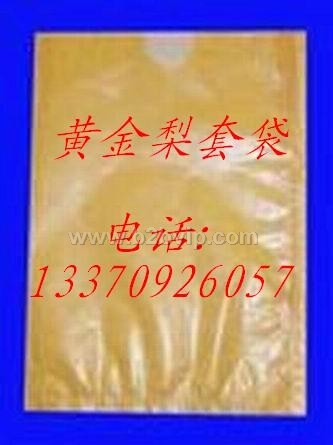 黄金梨套袋，丰水梨套袋,梨袋,梨果袋