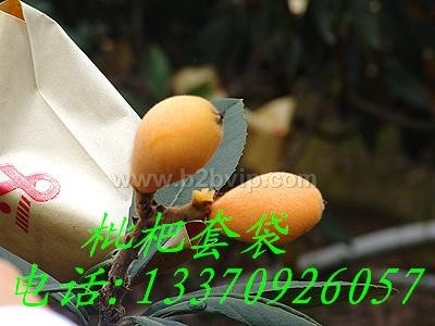 枇杷套袋,枇杷袋