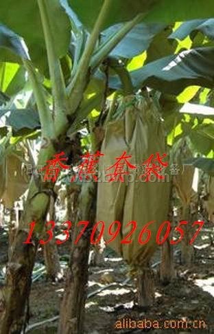 香蕉套袋,香蕉袋