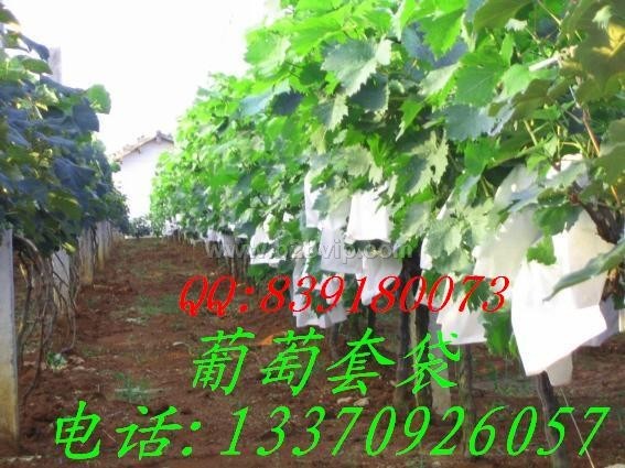 葡萄套袋,梨套袋,苹果套袋,芒果套袋,石榴套袋,香蕉套袋等果袋,水果套袋