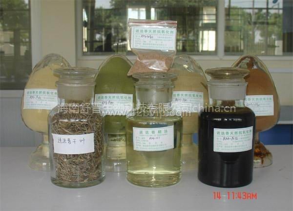 迷迭香提取物