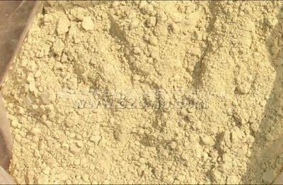 鼠尾草酸Carnosic Acid