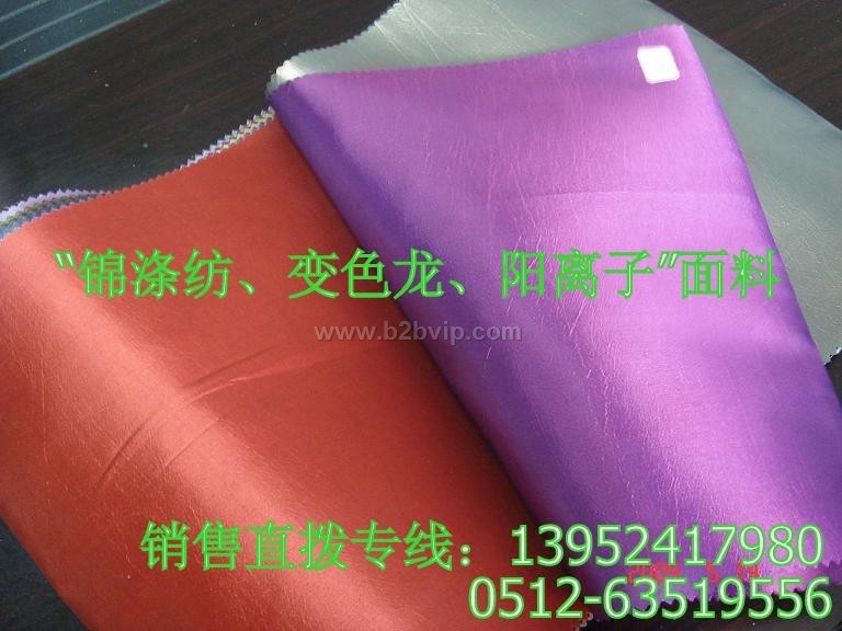 变色龙、加厚阳离子