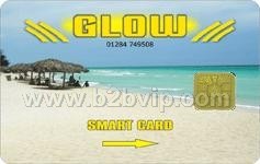 接触式IC卡&nbsp;SEL4428/4442