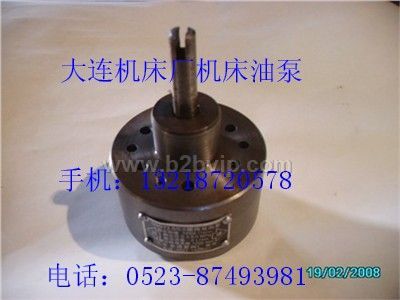 大连机床CD6140A摆线双向泵（SNBY2.5/0.5摆线双向泵)
